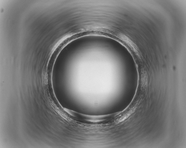 X0000087520924200705041209