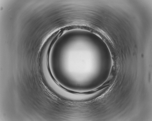X0000087520926200705041209