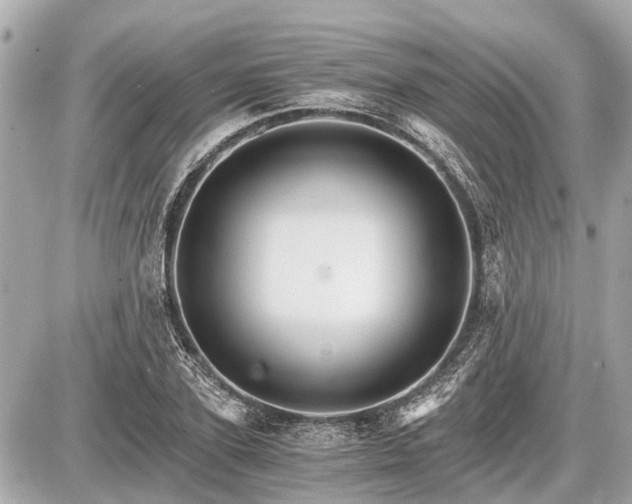 X0000087520931200705041209