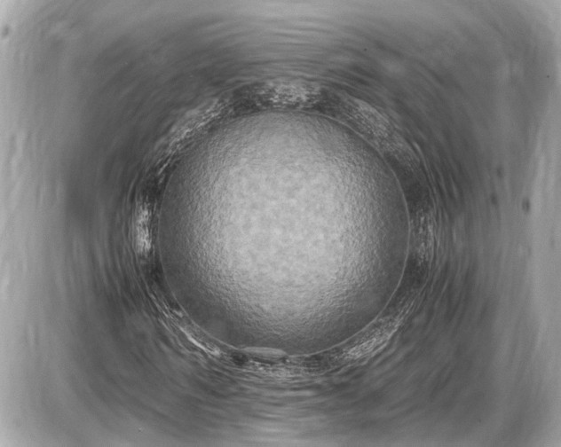 X0000087520962200705041208