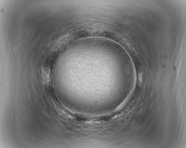 X0000087520963200705041208