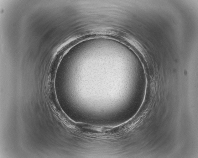 X0000087520971200705041208