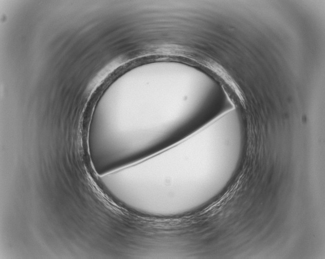X0000087520972200705041208