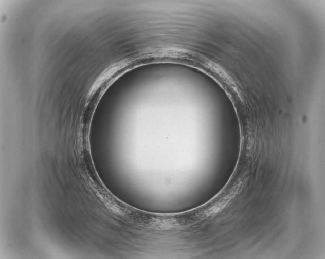 X0000087520978200705041208