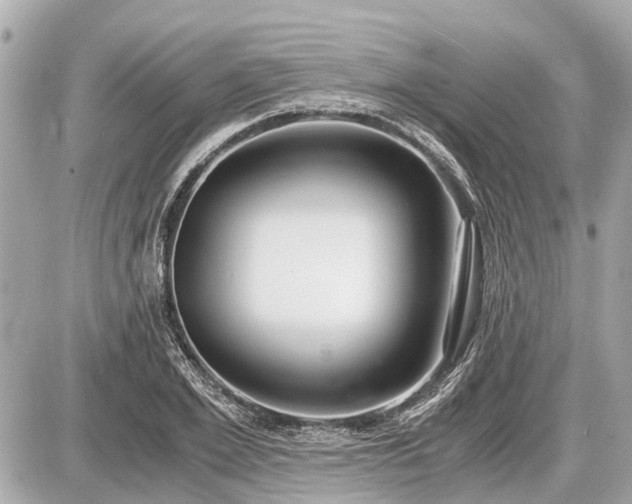 X0000087520981200705041208