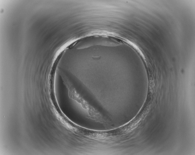 X0000087520995200705041208