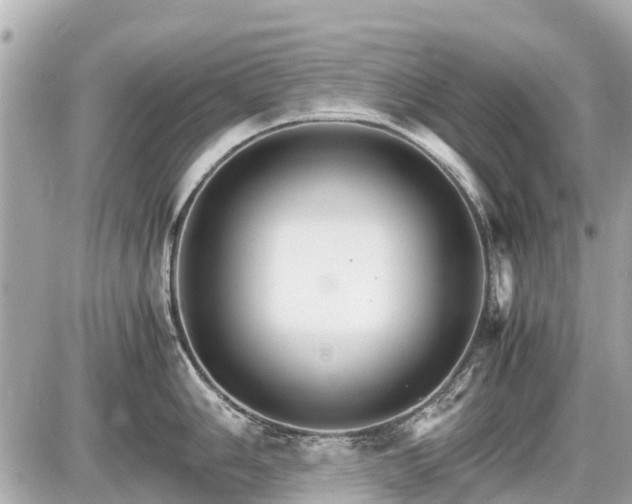 X0000087521006200705041208