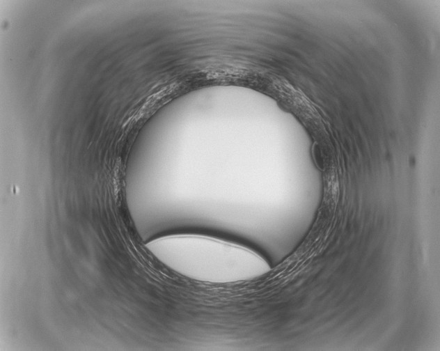 X0000087521012200705041207