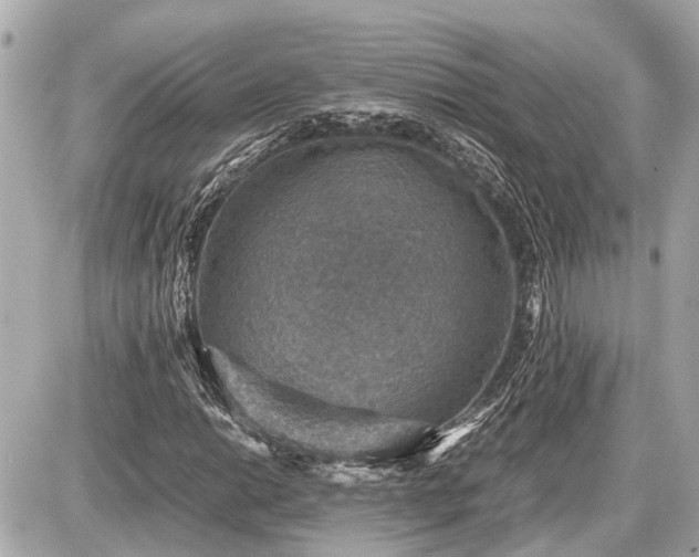 X0000087521014200705041207