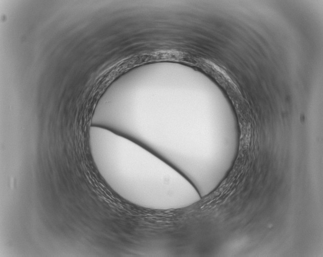 X0000087521015200705041207