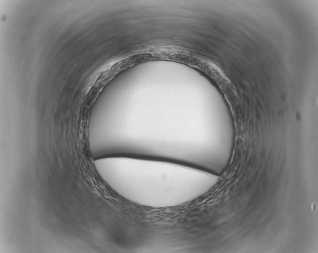 X0000087521016200705041207
