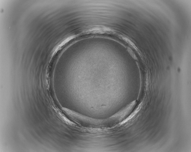 X0000087521018200705041207