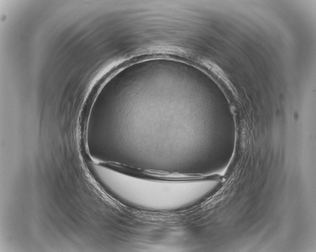X0000087521024200705041207