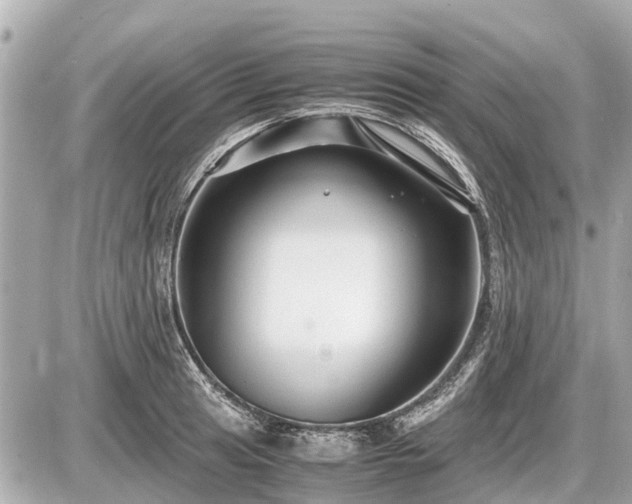 X0000087521041200705041207