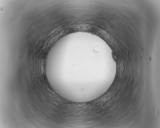 X0000087521058200705041207
