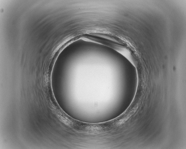 X0000087521073200705041207