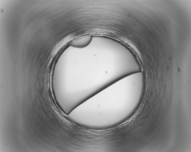 X0000087521075200705041207