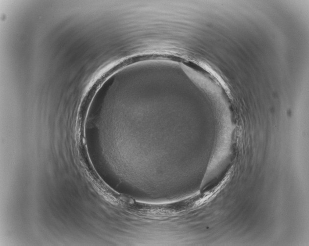 X0000087521077200705041207