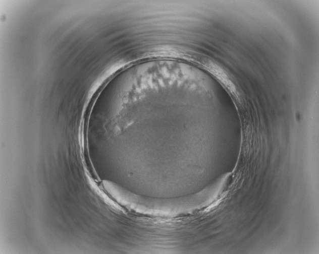 X0000087521084200705041206