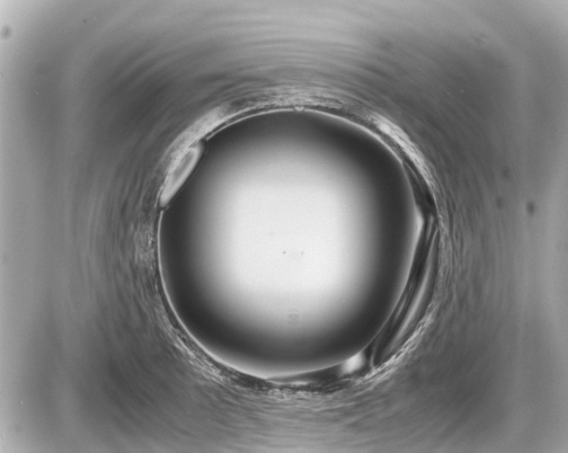 X0000087521089200705041206