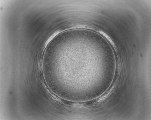 X0000087521097200705041206