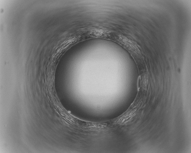 X0000087521105200705041205