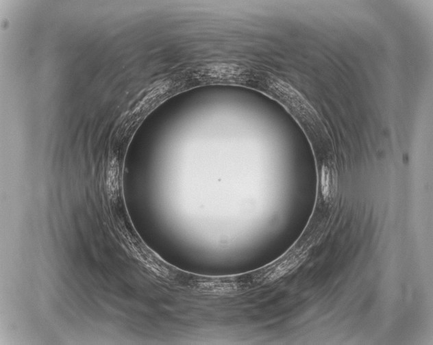 X0000087521107200705041205