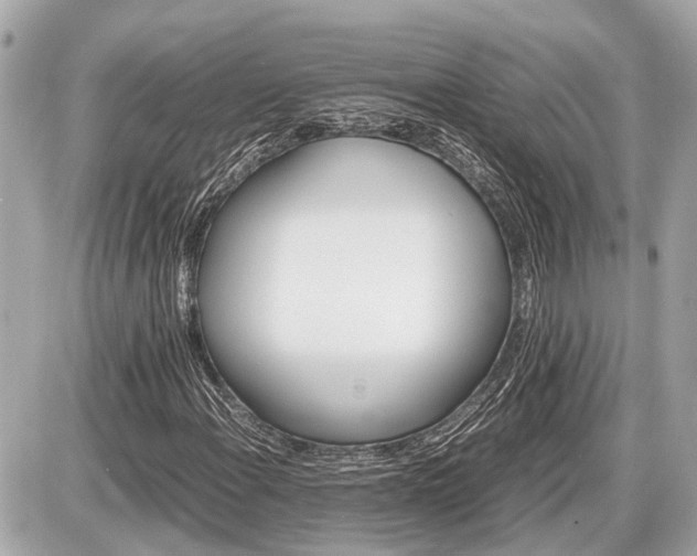 X0000087521108200705041205