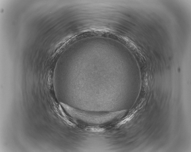 X0000087521110200705041205