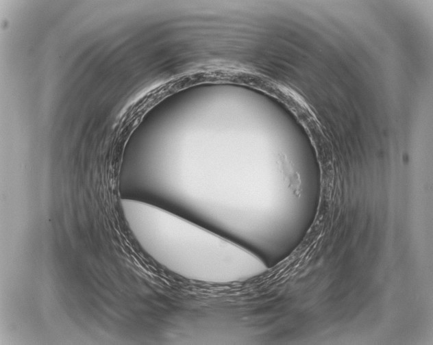 X0000087521112200705041205