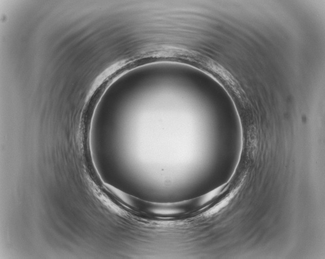 X0000087521122200705041206