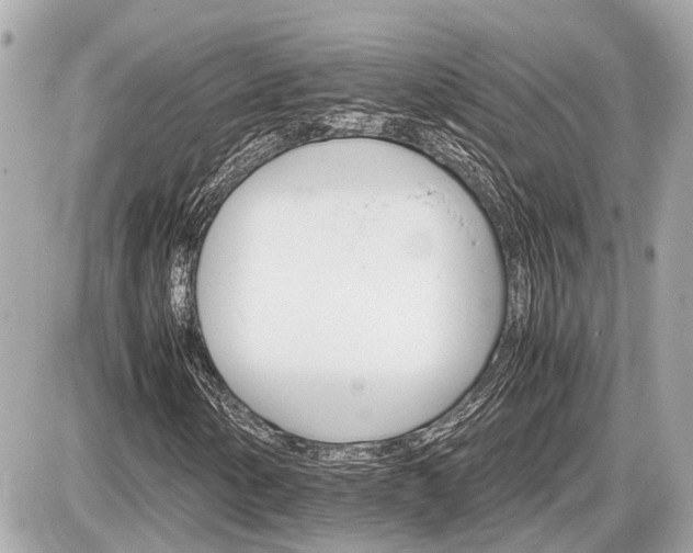 X0000087521154200705041205