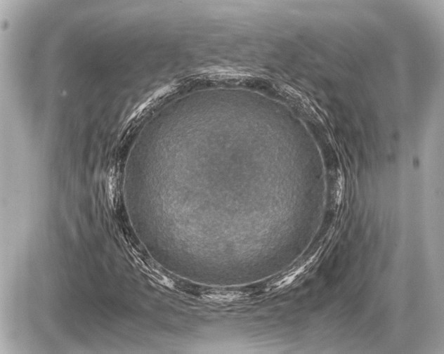 X0000087521157200705041205