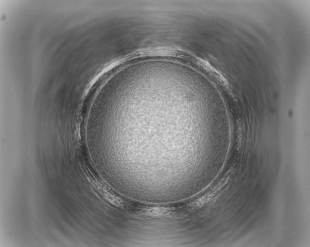 X0000087521166200705041205