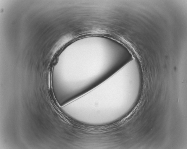 X0000087521171200705041205