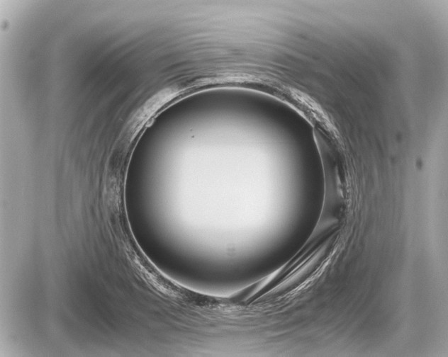 X0000087521177200705041205