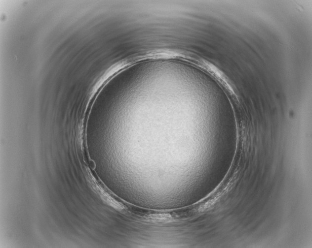 X0000087521186200705041205