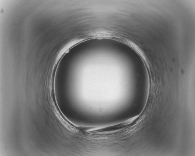 X0000087521195200705041205