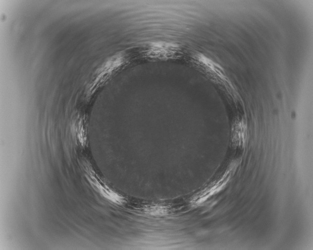 X0000087521202200705041204