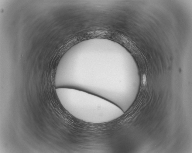 X0000087521203200705041204