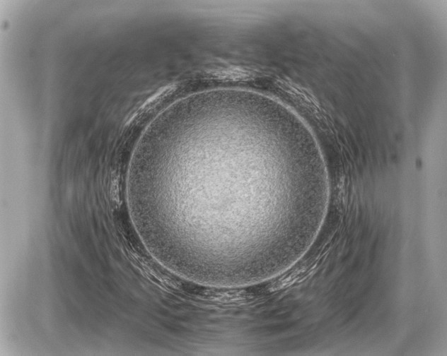 X0000087521205200705041204