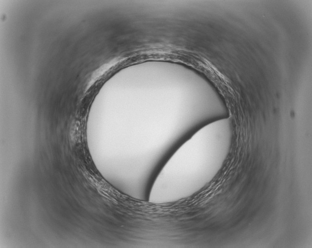 X0000087521208200705041204