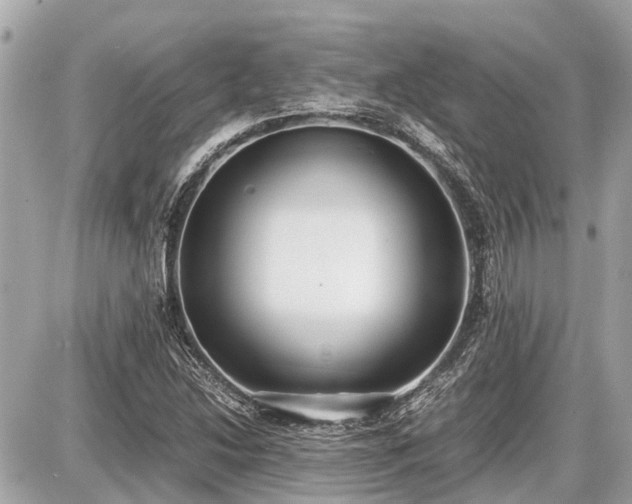 X0000087521214200705041204