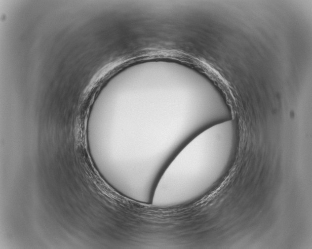 X0000087521215200705041204