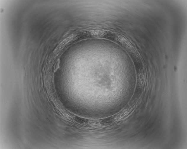 X0000087521249200705041204