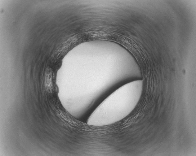 X0000087521250200705041204