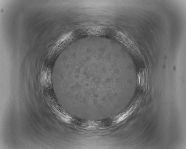 X0000087521251200705041204