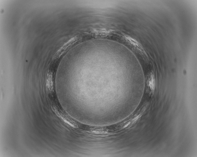 X0000087521252200705041204