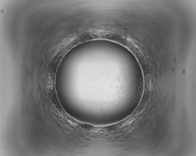 X0000087521253200705041204