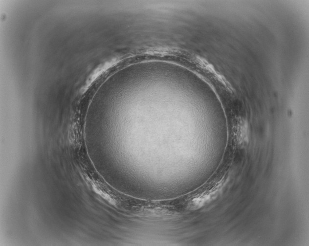X0000087521256200705041204